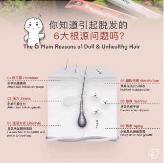 Essential Hapifoli 15s