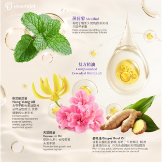 Essential Volume Boost Shampoo 500ml