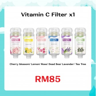IONPOLIS Vitamin C Filter