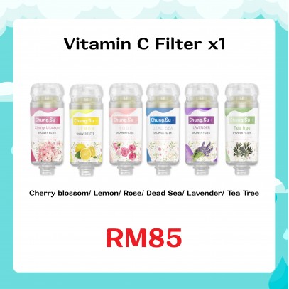 IONPOLIS Vitamin C Filter