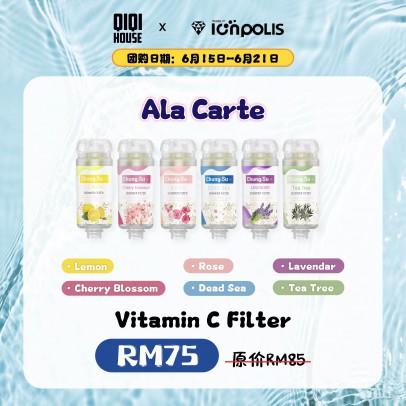 IONPOLIS Vitamin C Filter
