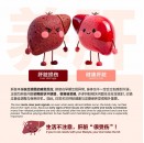 Proliver 配套B 【6盒装】兩個月量 2.5gx 60 sachets